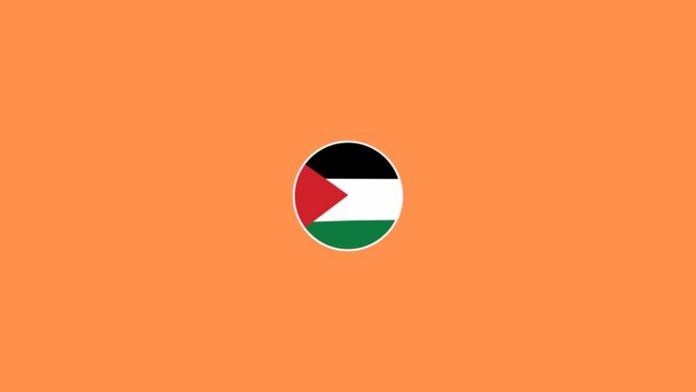 Does Temu Support Palestine? Explained [2024]